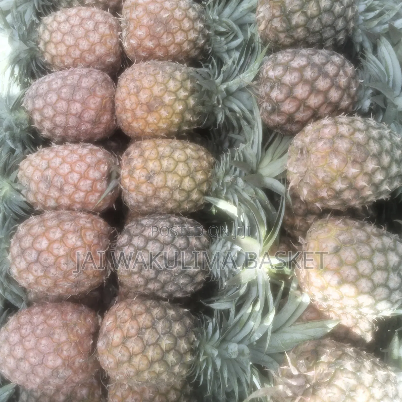 Jai Wakulima Basket