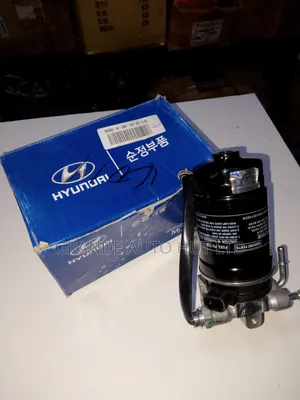 Filter Sensor Hyundai Santa Fe Diesel