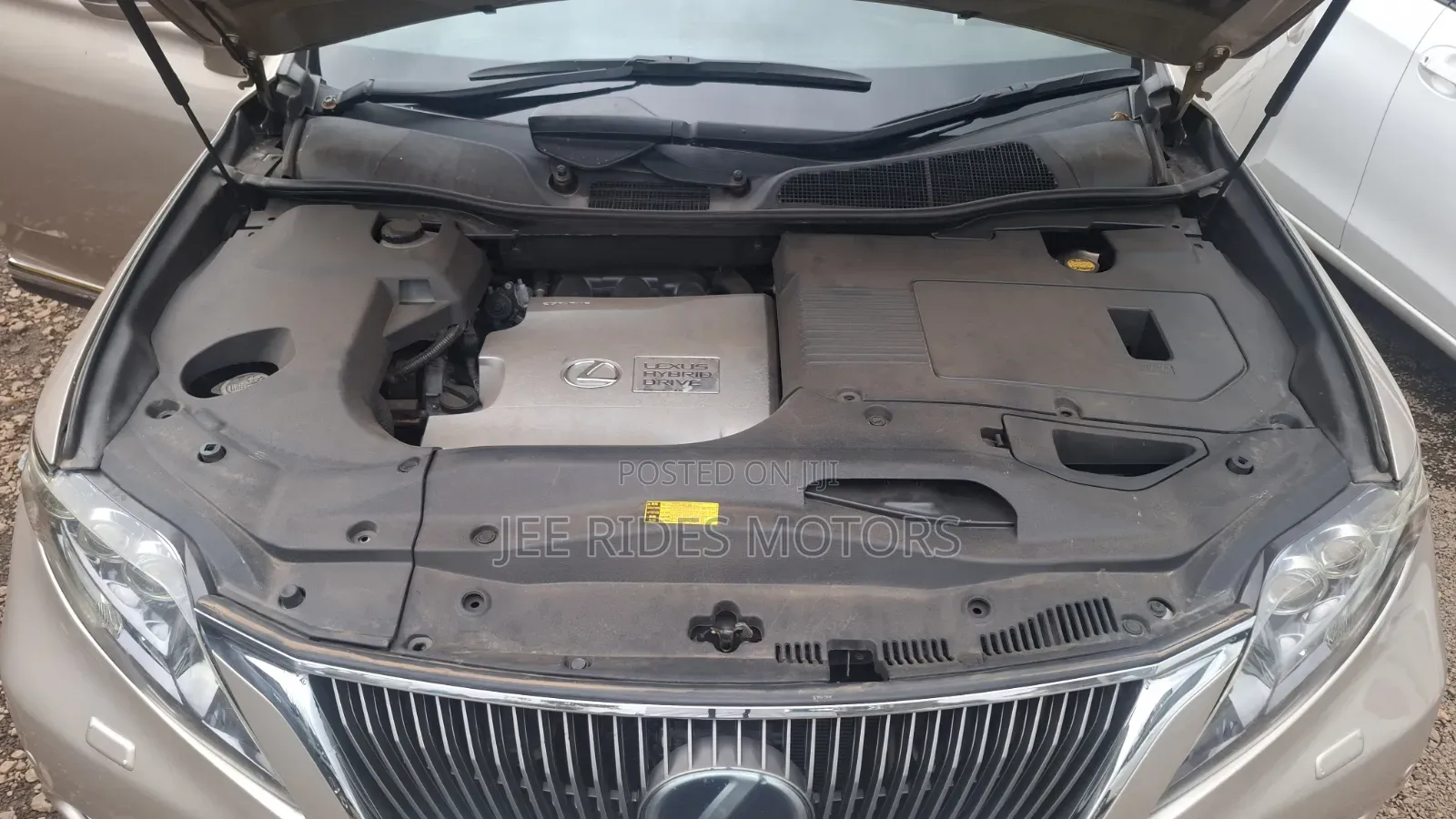Lexus RX 2010 Gold