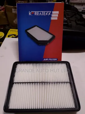 Air Filter Hyundai Santa Fe 2012 Petrol