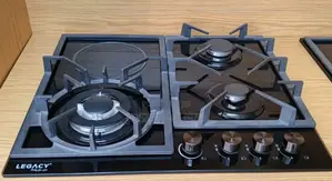 3+1 Infrared Inbuilt Gas Hod