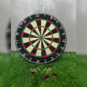 Professional Dart Board
