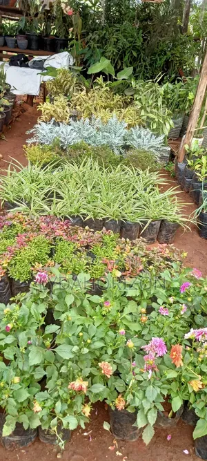 Landscaping