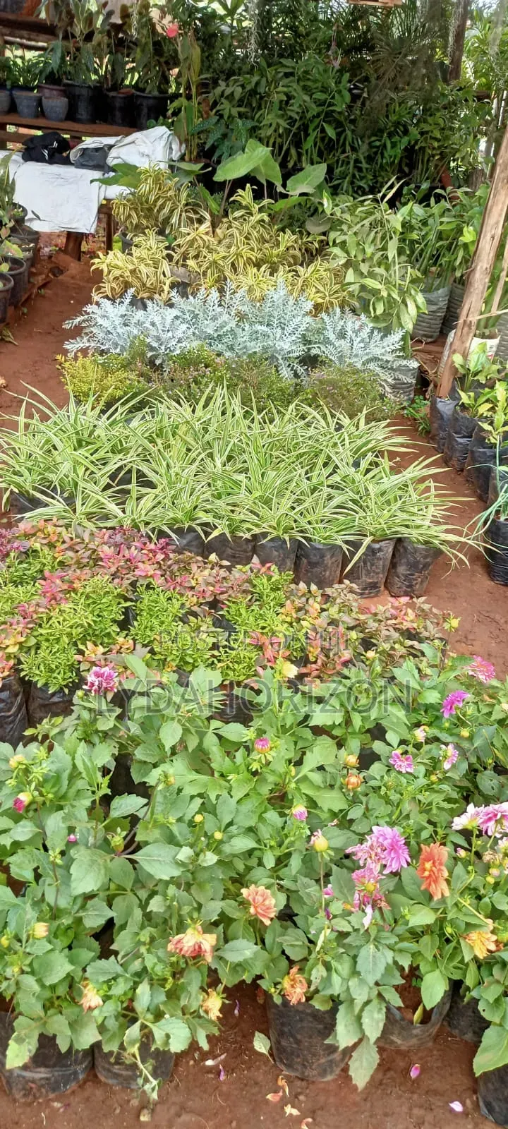 Landscaping