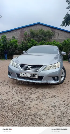 Toyota Mark X 2010 Gray