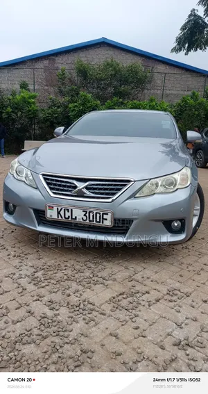 Toyota Mark X 2010 Gray