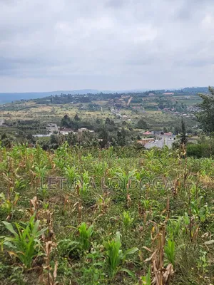 Prime Beautiful 2 Acres Ngong-Kibiko