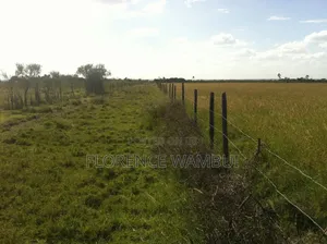 Plot for Sale
