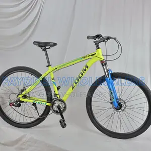 Zoom 29" Mountain Bicycle With Disc Brakes