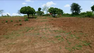 Thika Plots for Sale