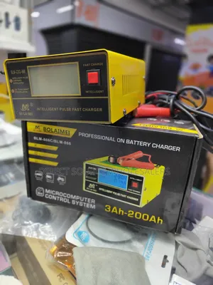 Professional 12v-24v Car Battery Fast Charger
