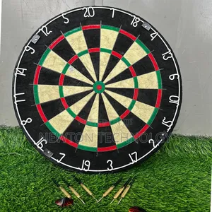 Professional Dart Board