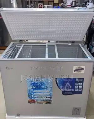 Roch 316 Litres Chest Freezer