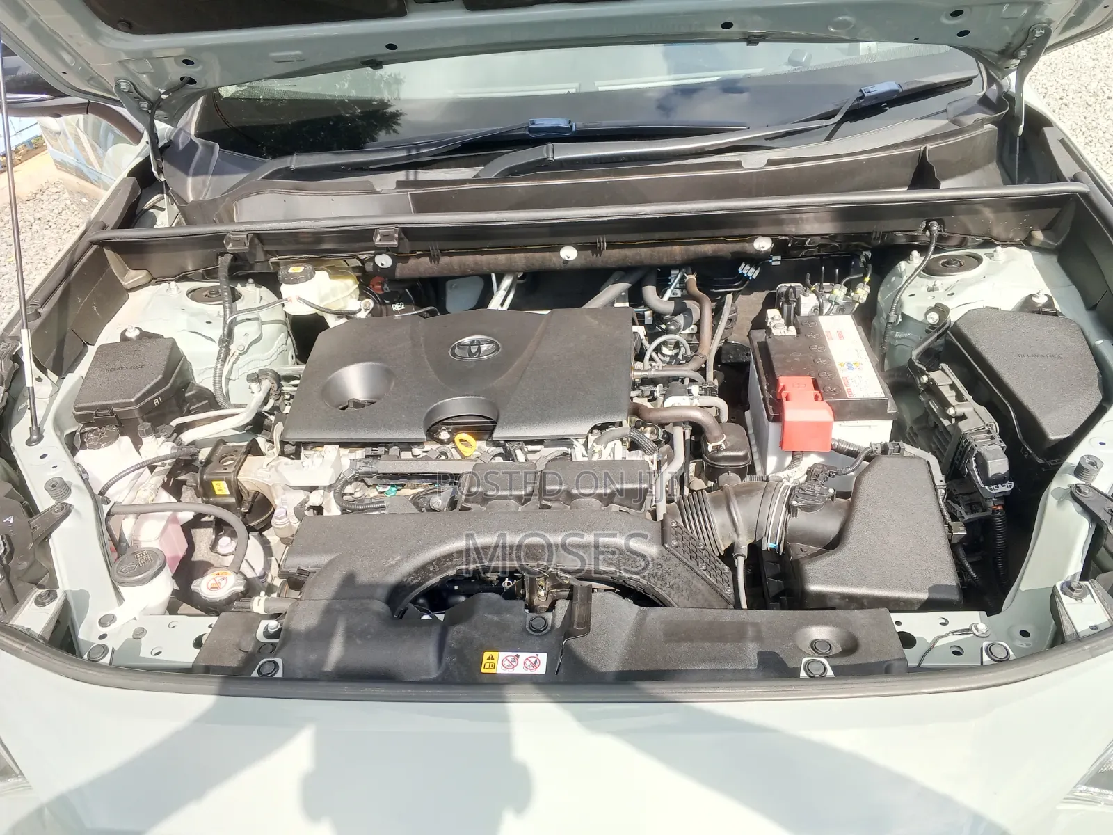 Toyota RAV4 2020 Green