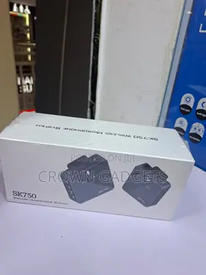 Sk750 Portable Wireless Microphone for Musicians Performers