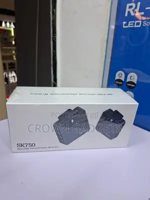 Sk750 Wireless Recording Microphone for Online Classes