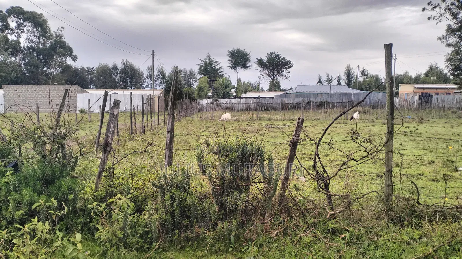 Plot for Sale Nanyuki