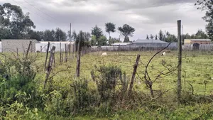 Plot for Sale Nanyuki
