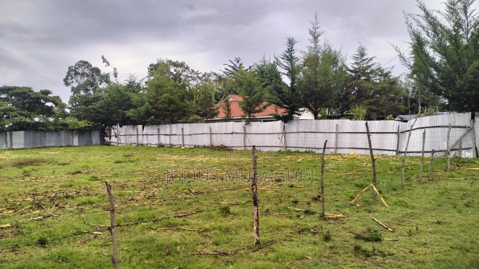 Plot for Sale Nanyuki