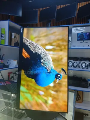 Lenovo 24 Inch Edge to Edge Monitor