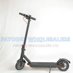 Electric Folding Scooter – Black