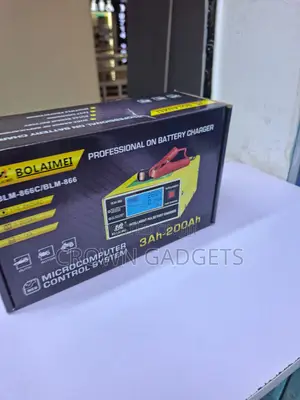 Blm866 Smart Battery Maintainer for Automotive Batteries