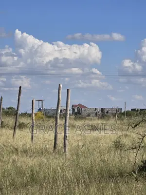 5o/100 Plots in Bypass Kiratina Next to Aipca Kiratina Church on Sale