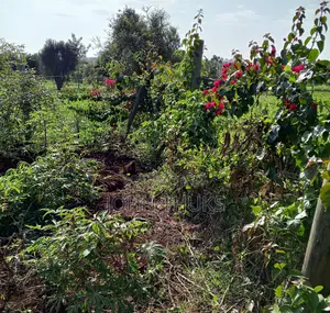 Land Kutus-Kerugoya 1⁄8 Acre