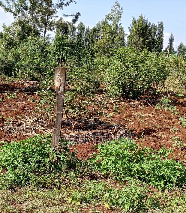 Land Kutus-Kerugoya 1⁄8 Acre - thumbnail 2