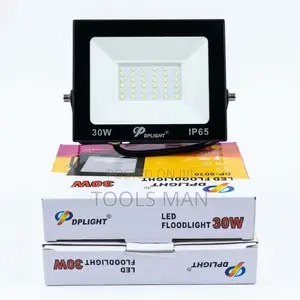 Dplight 30w Led Floodlight Dp-6030 Ip65 Outdoor Security Lamp