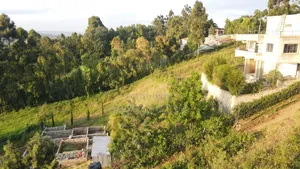 1/8 Acres Kibiku,Maragara Road