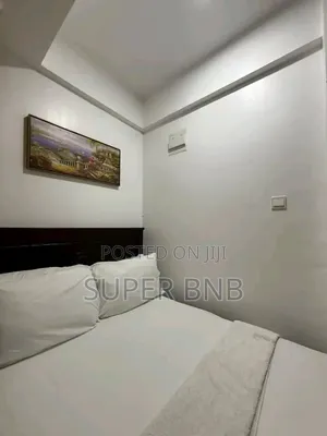 Executive 1 2 Bedroom in Oj Membley ~ Ruiru