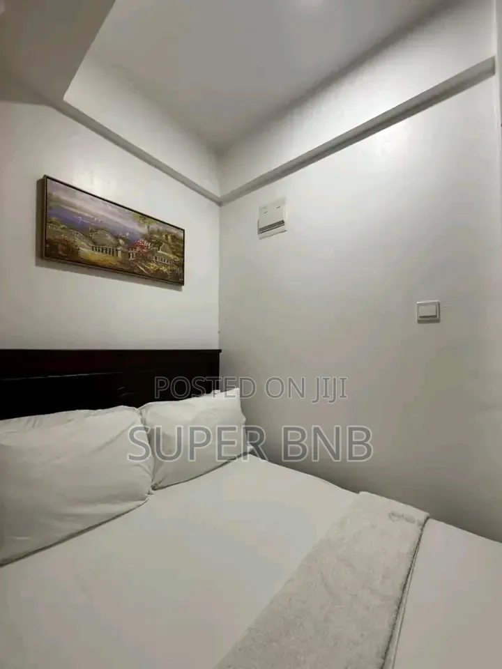 Executive 1 2 Bedroom in Oj Membley ~ Ruiru