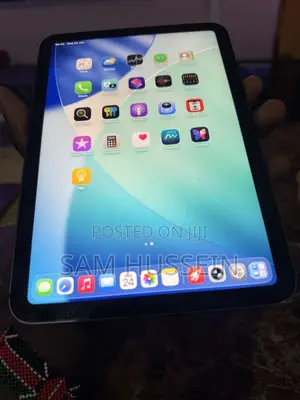 Apple iPad mini 6 256 GB Gray