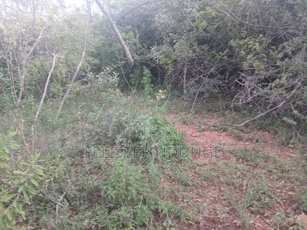 1/4 Acre Plot in Kyumbi Junction