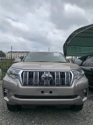 Toyota Land Cruiser Prado 2019