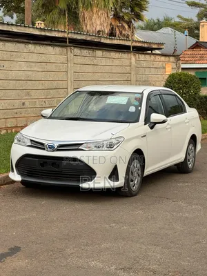 Toyota Axio 2019 White