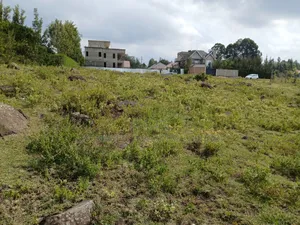Distressed Sale!100 by 100 Plot in Posh Neighborhood in Matasia, Ngong