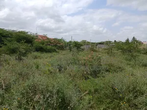 Very Prime Full Acre Land in Kiserian, Ngong 2kms Off Magadi Rd Tarmac