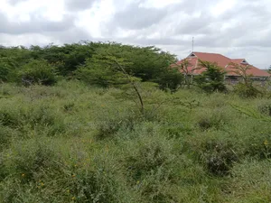 Very Prime Full Acre Land in Kiserian, Ngong 2kms Off Magadi Rd Tarmac