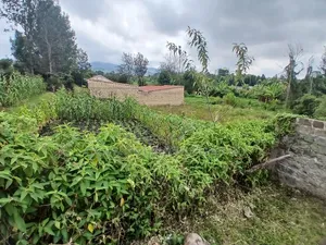 Distress Sale! Prime Commercial 100 by 100 Plot in Kiserian, Ngong
