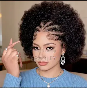 Front Braided Human Wigs