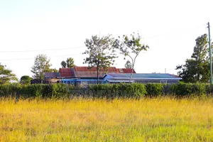 Juja Farm Munandaine Plots Sm*
