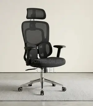 Executive Office Chair : Orthopedic Swivel Chair
