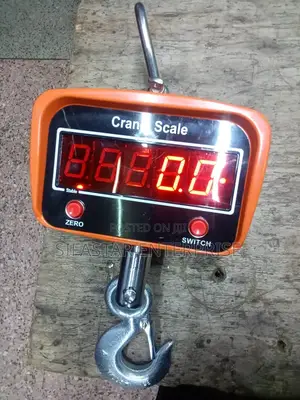Crane Hanging Scale 1000kg