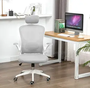 Flexible Adjustment Ventilated Mesh Chair