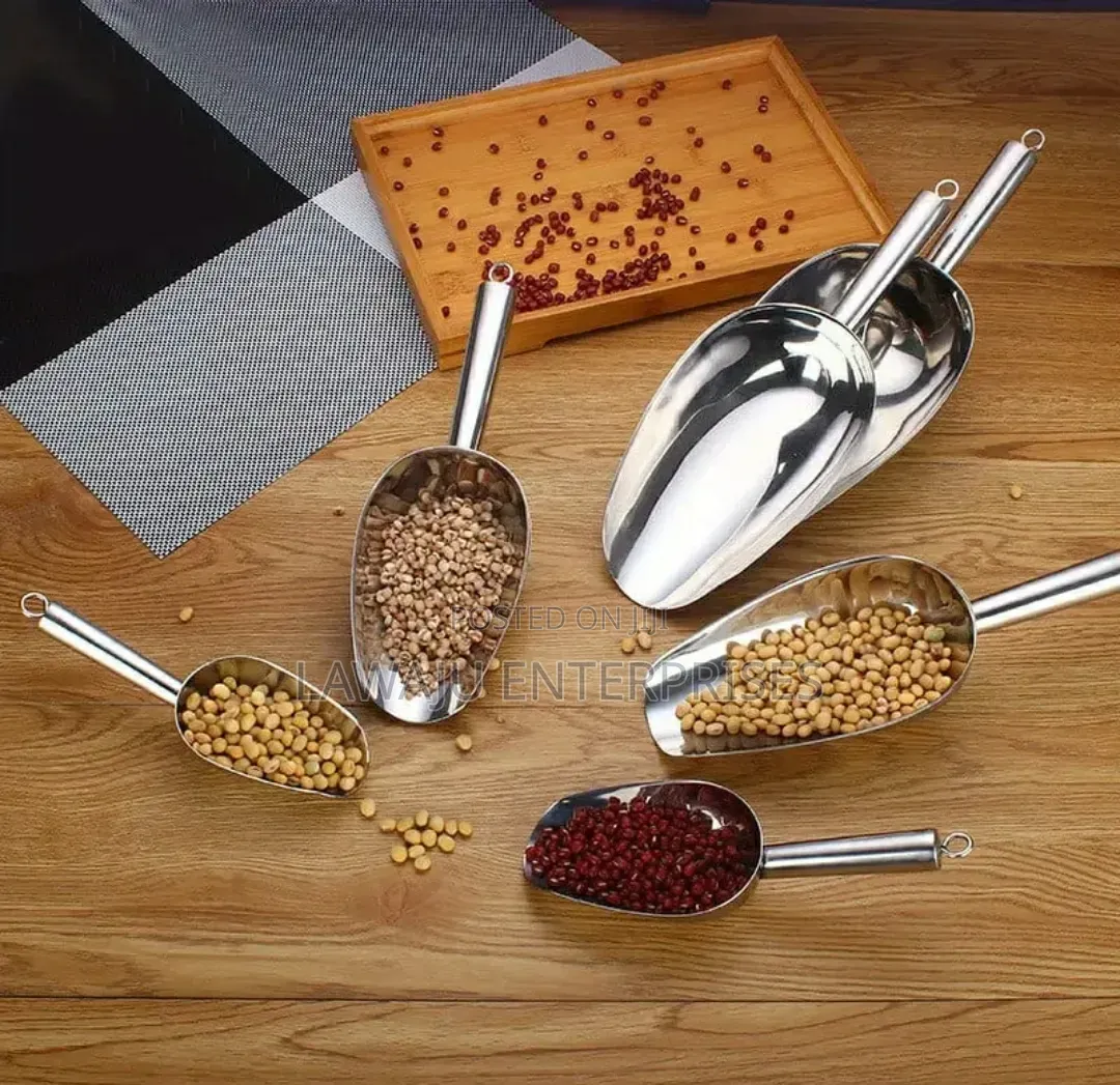 Stainless Steel Ice Scoop