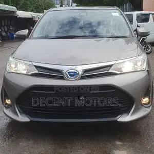 Toyota Axio 2020 Brown