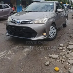 Toyota Axio 2020 Brown