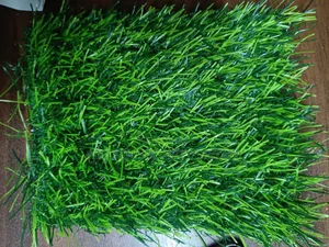Turf Grass Carpet